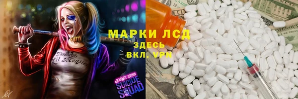 индика Богданович