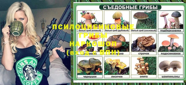 индика Богданович