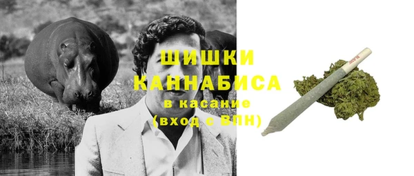 индика Богданович