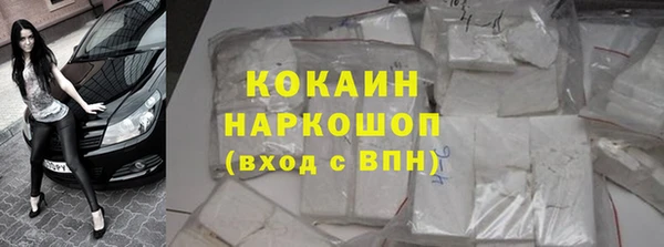 дживик Богородск