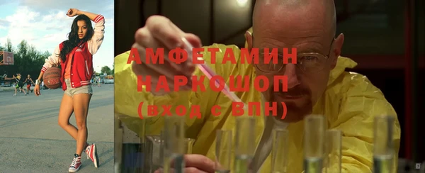 индика Богданович