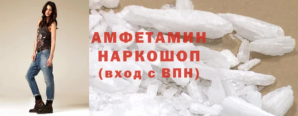 индика Богданович