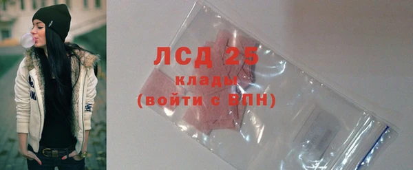 индика Богданович
