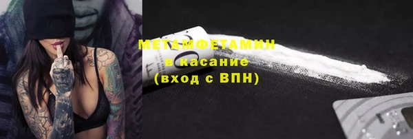 индика Богданович