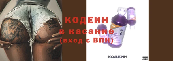индика Богданович
