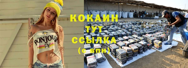 индика Богданович