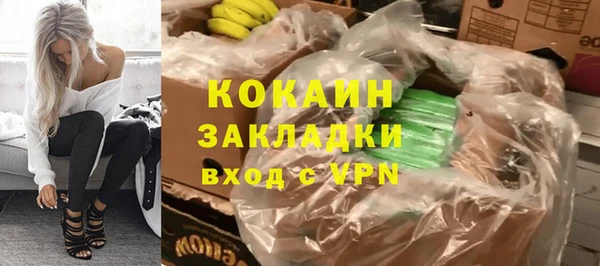 индика Богданович