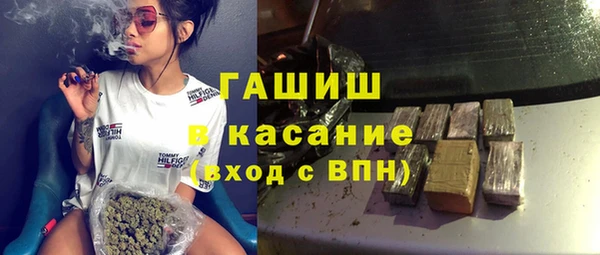 индика Богданович