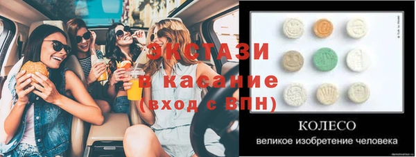 дживик Богородск