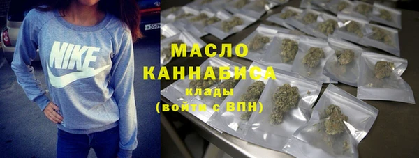 индика Богданович