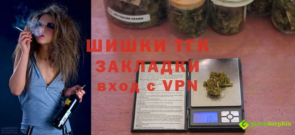 дживик Богородск