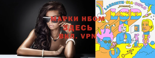 индика Богданович