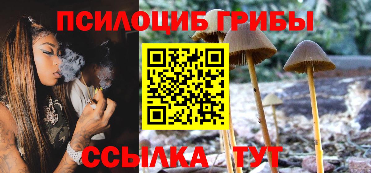 Галлюциногенные грибы Psilocybe Сланцы