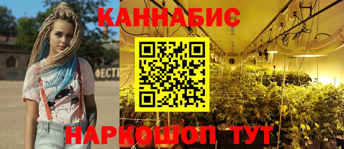 Шишки марихуана ГИДРОПОН  Бошки марихуана SATIVA & INDICA  Сланцы  Вход с VPN  Каннабис сатива 